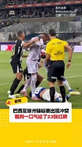阿根廷国家队球员来自十个不同联赛分析